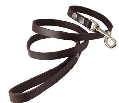 Classic Leather Leash